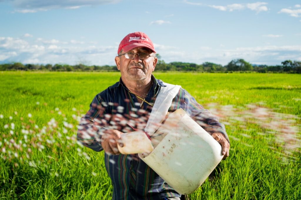 oregon farm labor contractor throwing rice in fields